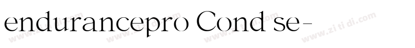 endurancepro Cond se字体转换